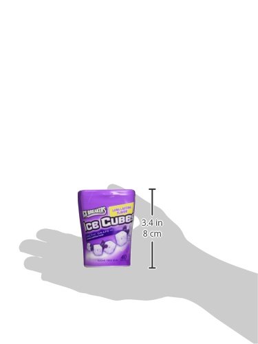Ice Breakers Cubes Grape 4CT