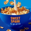 Kellogg S Frosted Flakes Breakfast Cereal  Fat Free  12 Oz
