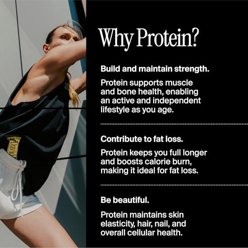 David Protein Blueberry Pie High Protein Bars - 28g Protein - 12ct