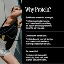 David Protein Fudge Brownie High Protein Bars - 28g Protein - 12ct