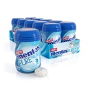Miniature Sugar-Free Fresh Mint Chewing Gum Pack - 10 Pieces of Pure Bliss