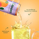 Bloom Sparkling Energy Drink - Natural Caffeine, Zero Sugar, 180mg Caffeine - Antioxidant-Rich with Green Coffee Bean, Green Tea Extract, Prebiotics -