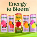 Bloom Nutrition Sparkling Energy Drink - Natural Caffeine, Zero Sugar, 180mg Caffeine - Antioxidant-Rich with Green Coffee Bean, Green Tea Extract, Pr