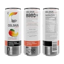 CELSIUS Sparkling Mango Lemonade  Functional Energy Drink 12 Fl Oz (Pack of 12)