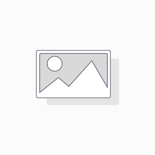 TIC TAC big refreshments 12ct