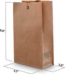 BROWN PAPER BAG #3