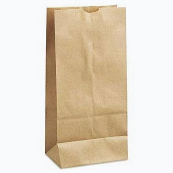 Paper Bag #8
