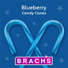 BlueBerry Canes 24CT