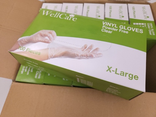 Vinyl XLarge Gloves 100CT